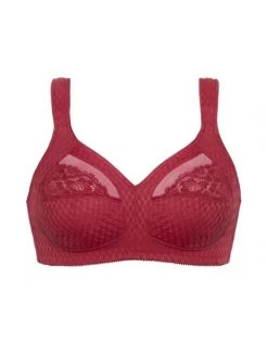 Format New Classic BH Zonder Beugel Kleine En Grote Maten 80-105 Cup B Tot G - Berry 103345