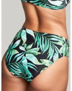 Panache Swim Bali Midi Bikini Slip Kleine - Grote Maten 34-46 - Palm Print - SW1646 -Lingerie Kortingswinkel panache swim bali midi bikini slip kleine grote maten 34 46 palm print sw1646 2