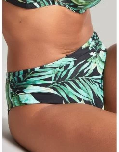 Panache Swim Bali Midi Bikini Slip Kleine - Grote Maten 34-46 - Palm Print - SW1646 -Lingerie Kortingswinkel panache swim bali midi bikini slip kleine grote maten 34 46 palm print sw1646 3