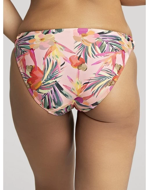 Panache Swim Paradise Bikini Slip Kleine - Grote Maten 34-46 - Tropical Print - SW1639 4 Panache Swim Paradise Bikini Slip Kleine - Grote Maten 34-46 - Tropical Print - SW1639 - Image 4