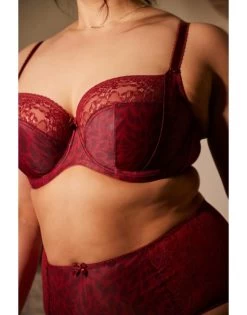 Sculptresse Chi Chi Tailleslip Kleine - Grote Maten 38-52 - Red Animal - 7692 -Lingerie Kortingswinkel sculptresse chi chi tailleslip kleine grote maten 38 52 red animal 7692 5