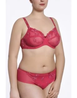 Ulla Dessous Carla Hele Cup BH Kleine En Grote Maten 70-120 Cup B Tot G - Framboise - 2123 -Lingerie Kortingswinkel ulla dessous carla hele cup bh kleine en grote maten 70 120 cup b tot g framboise 2123 3
