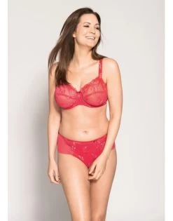 Ulla Dessous Carla Hele Cup BH Kleine En Grote Maten 70-120 Cup B Tot G - Framboise - 2123 -Lingerie Kortingswinkel ulla dessous carla hele cup bh kleine en grote maten 70 120 cup b tot g framboise 2123 6