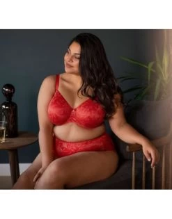 Ulla Dessous Jasmin Tailleslip Kleine + Grote Maten 38-60 - Red Poppy - 2710 -Lingerie Kortingswinkel ulla dessous jasmin tailleslip kleine grote maten 38 60 red poppy 2710 3